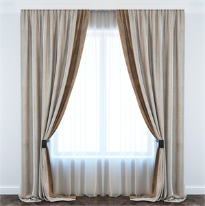 Curtain5